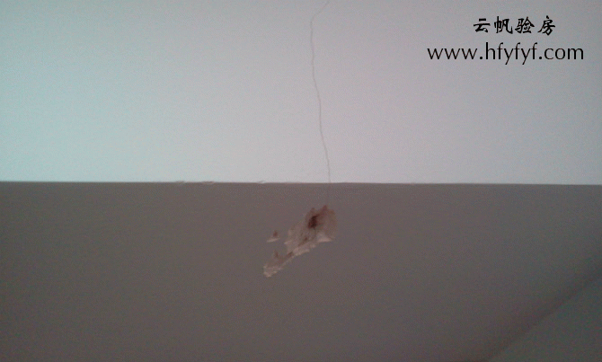 ؞�����Ѽy